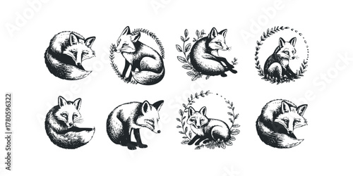 Collection of eight charming fox illustrations in a classic black and white style