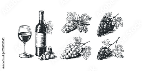 Still life of grapes and wine bottle