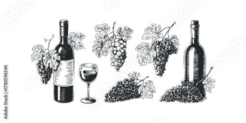 Vineyard harvest elements with wine bottle and glass