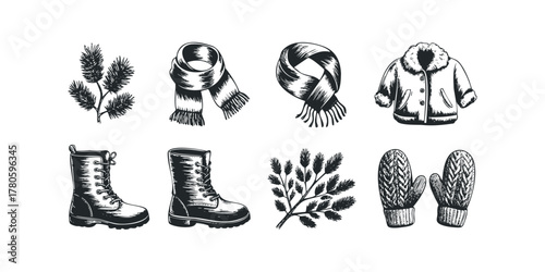 Winter clothing and natural elements illustration
