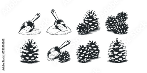 Pinecone scoop and collection illustrations
