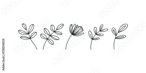 Minimalist outline of botanical sprigs and a flower head