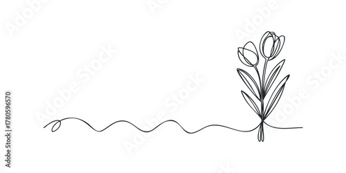 Continuous line drawing of two tulips with stems and leaves