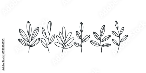 Simple outline of various foliage sprigs