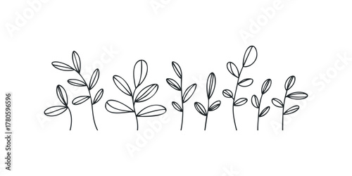Line art of delicate plant branches with leaves