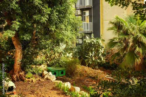 Fototapeta Naklejka Na Ścianę i Meble -  Green urban garden with trees, cacti, palm, and small cat shelters under warm sunlight beside residential building.