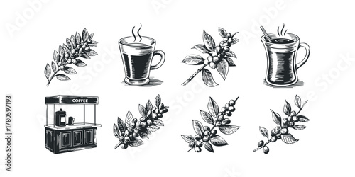 Vintage Coffee Plant Branch and Hot Beverage Illustrations