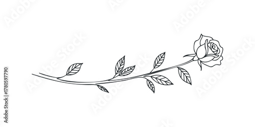 Single Rose Stem with Leaves Line Drawing