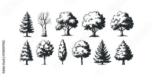 Set of stylized trees in black ink sketch