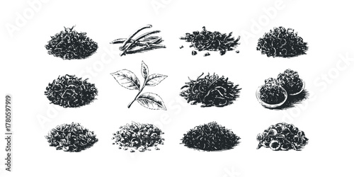 Collection of diverse dried tea leaves and fresh tea sprigs