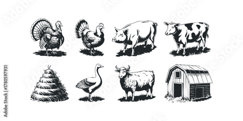 Farm animals and building collection