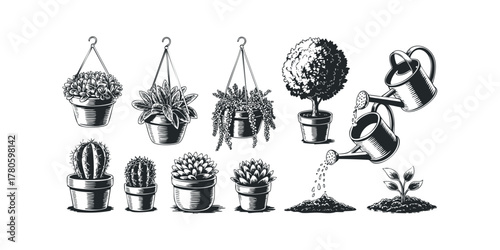 Collection of potted plants and gardening tools