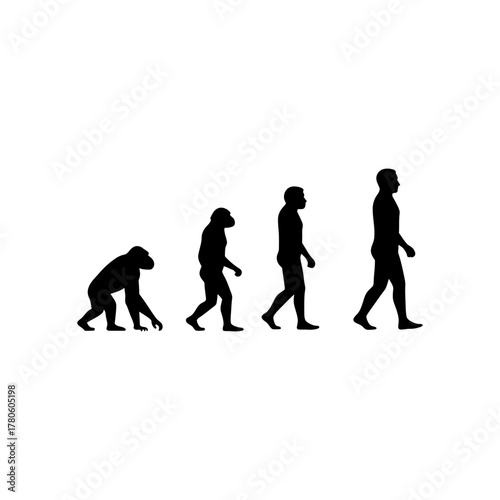 Evolution of man showing progression from ape to upright human walking forward on white backdrop representing scientific concept.