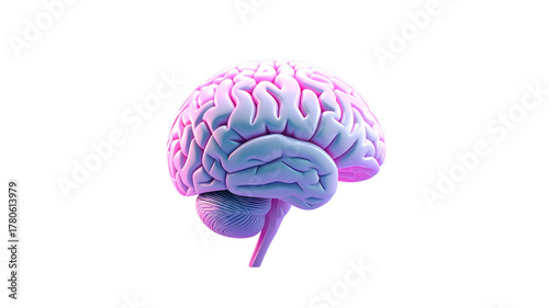 3D icon of human brain