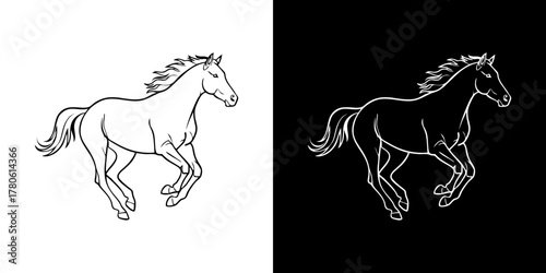 Horse Outline Vector Illustration Galloping Horse Silhouette on White & Black Backgrounds