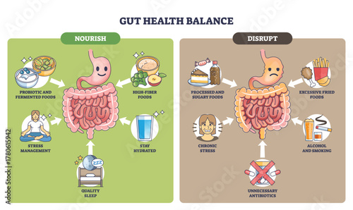 Gut health balance illustration comparing nourish vs disrupt, intestines, probiotic-high-fiber foods and processed-fried foods with arrows showing habits impact. Outline diagram