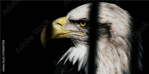 portrait of a bald eagle