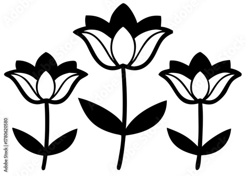 Delicate White Lilies with Green Stems lilies, flower, white, nature