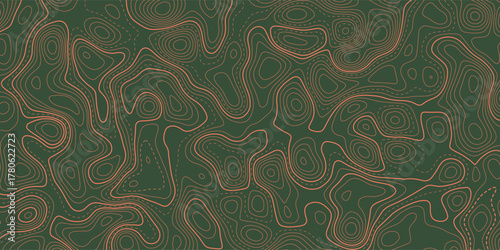 Abstract banner with a detailed topography map design 