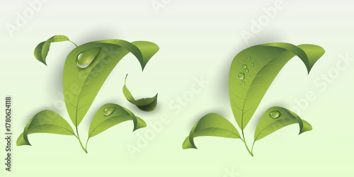 Natural leaf composition with dew drops, eco freshness concept