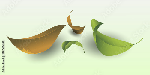 Fresh green leaves floating in air, eco nature concept