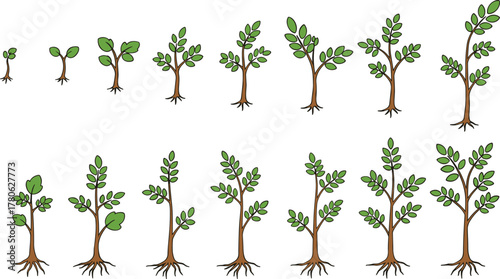 Stylized tree growth stages illustration, sapling to mature foliage, educational nature concept, blue trunks, green leaves, artistic progression, environmental design, vector sequence,