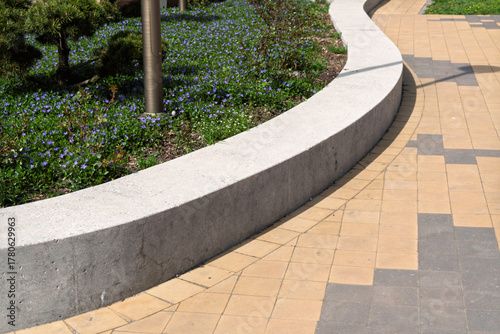 Fototapeta Naklejka Na Ścianę i Meble -  Curved concrete border separates blooming flowerbed with small purple flowers from clean tiled sidewalk in urban landscaped public area.