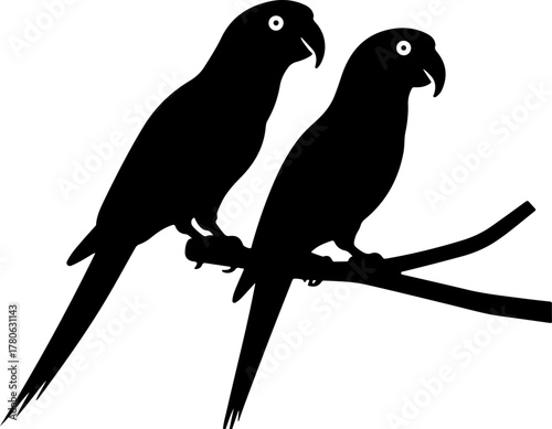 “Twin Parrot Perch Illustration”