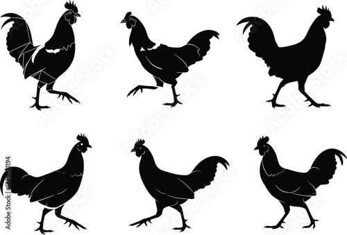 Chicken silhouette vector set, black farm birds, poultry poses, crest hen artwork, standing and walking designs, isolated animal graphics