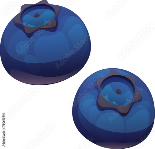 Cartoon two ripe blueberries. Isolated vector plump and round berries for healthy food and dessert cooking. Wild or garden planVt with a smooth, glossy surface and crown like calyx on top