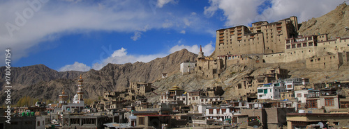 View of the Jama Masjid Mosque and kings palace, Leh, India.
