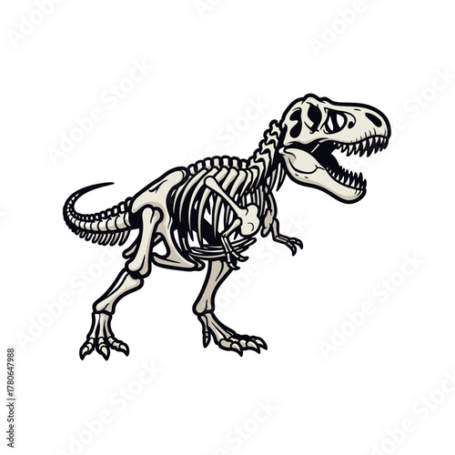 illustration vector of  tyrannosaurus rex skeleton isolated on white background
