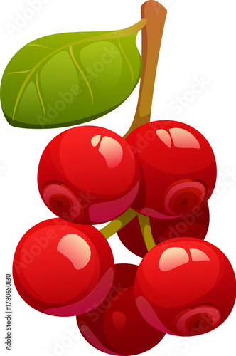 Cartoon ripe cowberry, red glossy berries with smooth surface, grouped in small bunch and attached to stem with green leaf. Isolated vector wild forest bilberry, whortleberry, foxberry or huckleberry