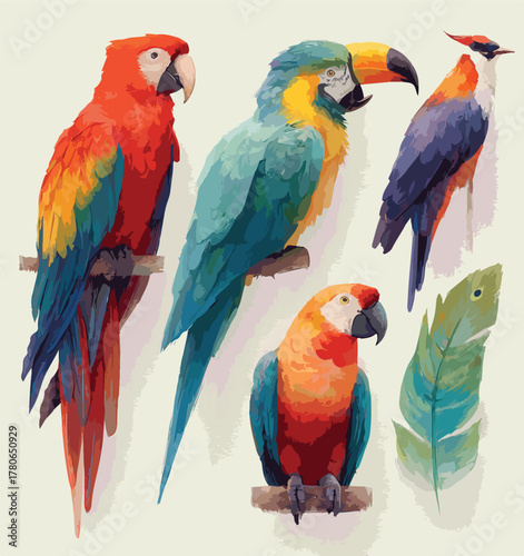  Jungle Bird Illustration with Bright Colors
