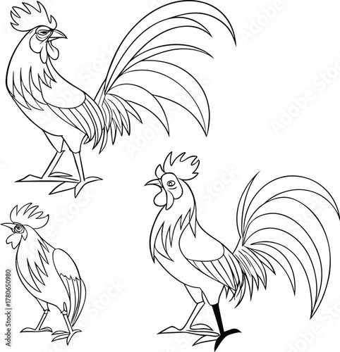 rooster and hen