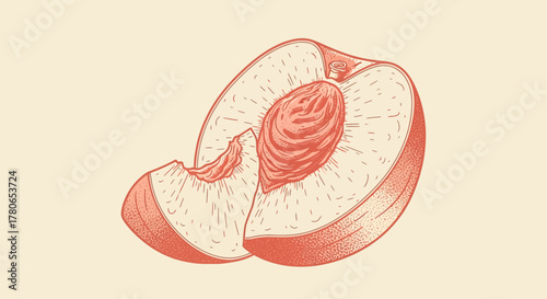 Vintage styled cross-section illustration of a peach half on light background