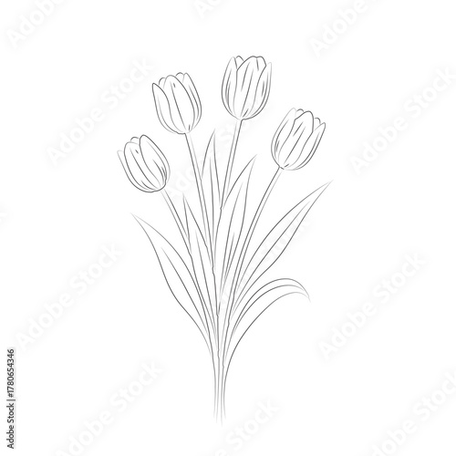 Elegant Line Art Bouquet of Tulips. Black and White Tulip Line Art Illustration