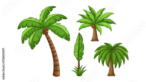 Tropical trees assortment: Tropical paradise comes to life in this vibrant collection of palm trees, each showcasing the unique beauty of nature, offering a lush landscape element. 