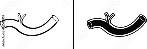 Human Artery Blood Vessel Line Art Illustration