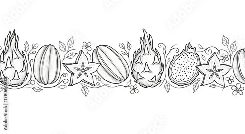 Exotic fruits sketch border illustration for backgrounds and decorations