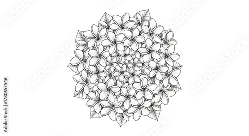 Floral design mandala with frangipani flowers and leaves in black and white