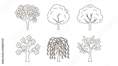 Variety of Trees: A collection of various tree illustrations, showcasing different shapes and styles, inviting exploration of the diverse world of arboreal beauty.