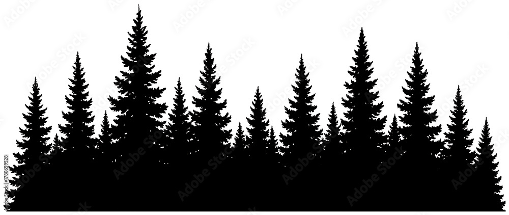 Obraz premium Pine forest tree line silhouette