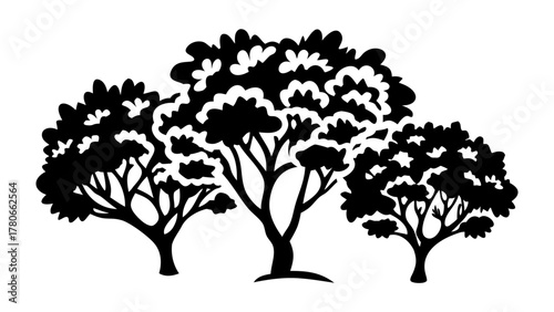 Silhouette Trio: Three trees, a natural symphony, their branches reaching towards the sky in a timeless silhouette, a powerful statement of enduring vitality.