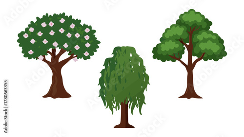 Diverse Trees in Full Bloom: A visual representation of nature's beauty, featuring a trio of trees. A flowering tree, a weeping willow and an oak tree represent diverse plant life.