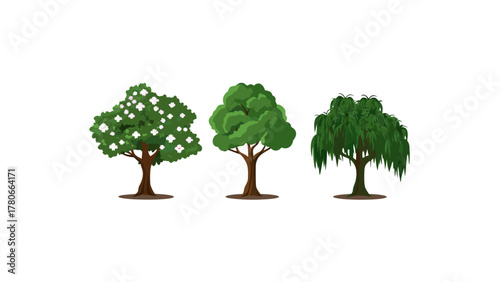 Diverse Tree Collection: A trio of stylized trees, each displaying distinct foliage patterns, stand against a simple backdrop, showcasing the beauty of nature's botanical variety.