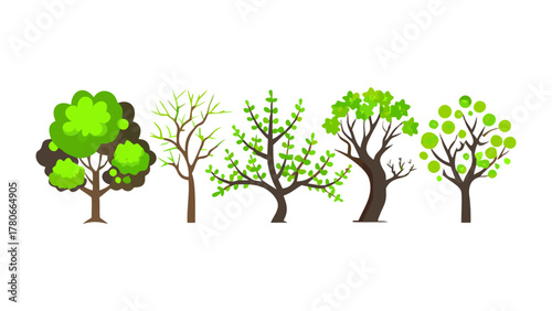 Diverse Trees in Nature: A collection of various trees, each showcasing unique branch structures and verdant foliage, symbolizes the beauty and variety found in the natural world.
