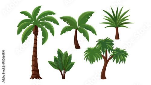Exotic Palms: A collection of vibrant palm trees showcasing the diversity of tropical flora, each with unique leaf structures and trunk formations.