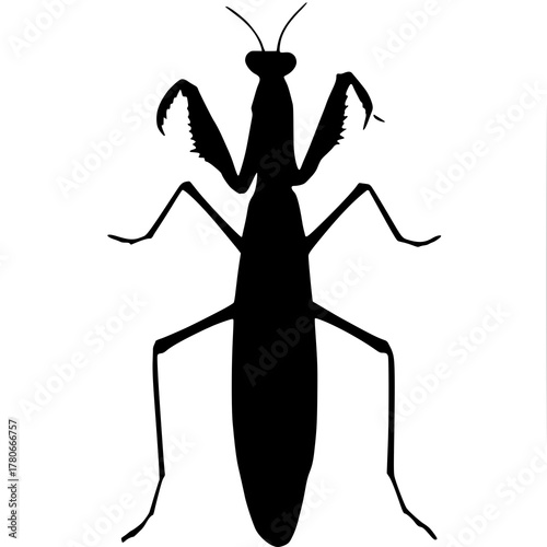 Solid black mantis silhouette vector design.