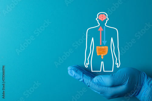 Doctor's hand holding a Gut-Brain Axis icon, symbolizing the link between the digestive system and the brain. Medical research, microbiome, and mental health concept.Blue background, copy space.